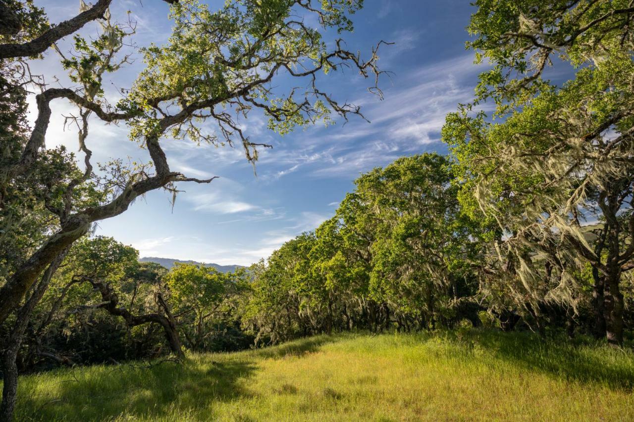 The Camp At Carmel Valley Kültér fotó